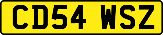 CD54WSZ