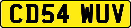 CD54WUV