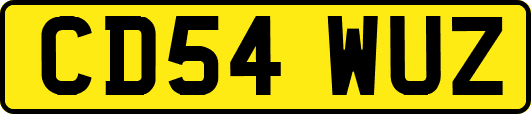 CD54WUZ