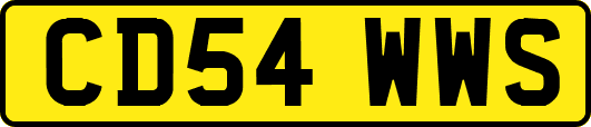 CD54WWS