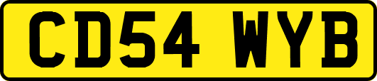 CD54WYB