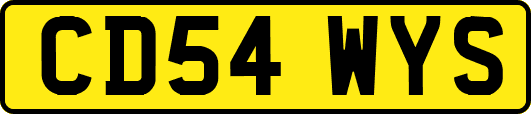 CD54WYS