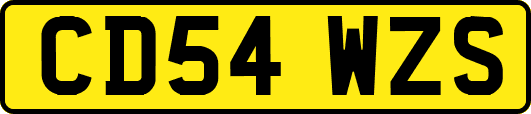 CD54WZS