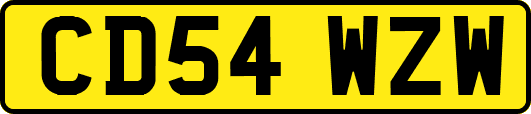 CD54WZW