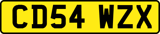 CD54WZX