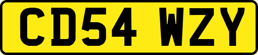 CD54WZY