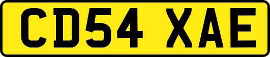 CD54XAE