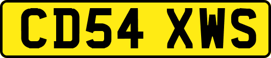 CD54XWS