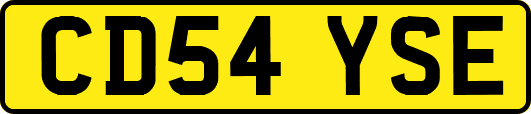 CD54YSE