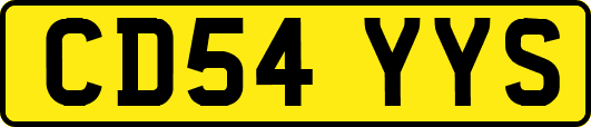 CD54YYS