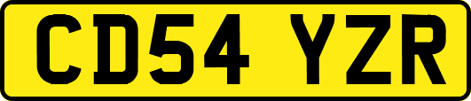 CD54YZR