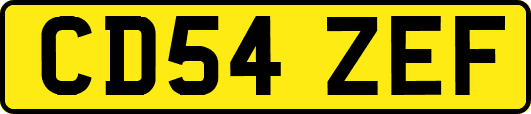 CD54ZEF