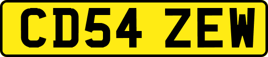 CD54ZEW
