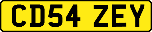CD54ZEY