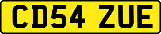 CD54ZUE