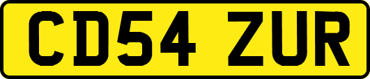 CD54ZUR