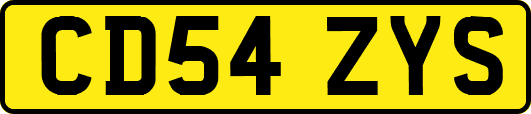CD54ZYS