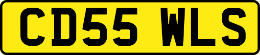 CD55WLS