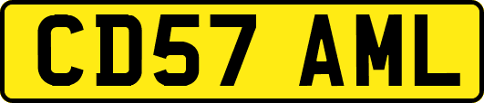 CD57AML