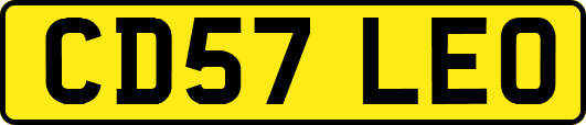 CD57LEO
