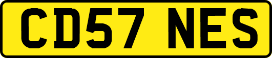 CD57NES