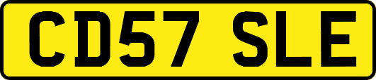 CD57SLE