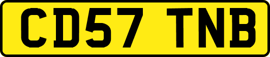 CD57TNB