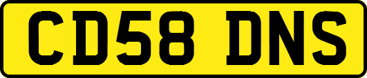 CD58DNS