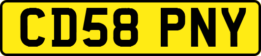 CD58PNY