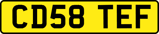 CD58TEF