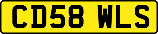 CD58WLS