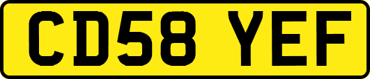 CD58YEF