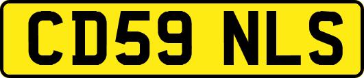 CD59NLS