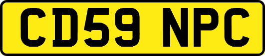 CD59NPC