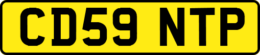 CD59NTP