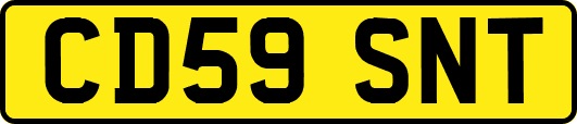 CD59SNT