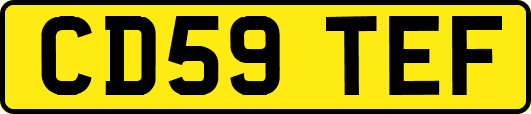CD59TEF