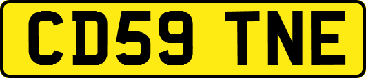 CD59TNE