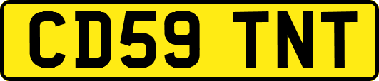 CD59TNT