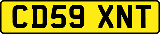 CD59XNT