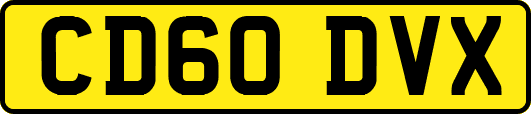 CD60DVX