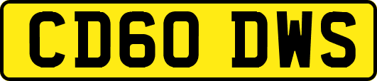 CD60DWS