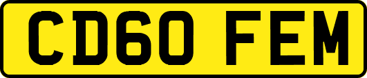 CD60FEM