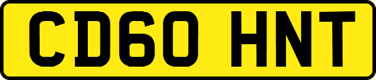 CD60HNT