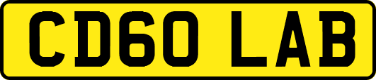 CD60LAB