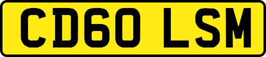 CD60LSM