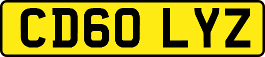 CD60LYZ