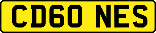 CD60NES