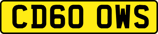 CD60OWS