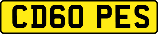 CD60PES